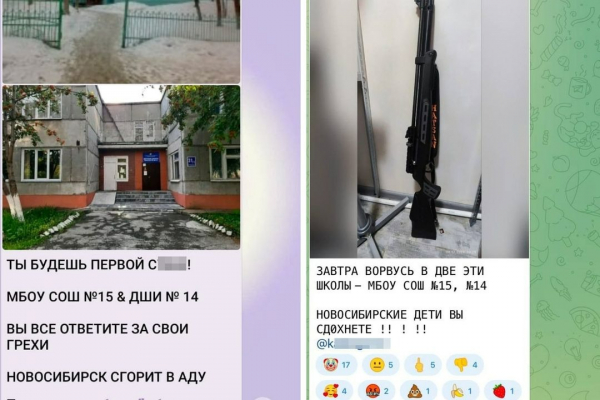 &laquo;Дети, вы сдохнете!&raquo;: школам Новосибирска массово угрожают в социальных сетях